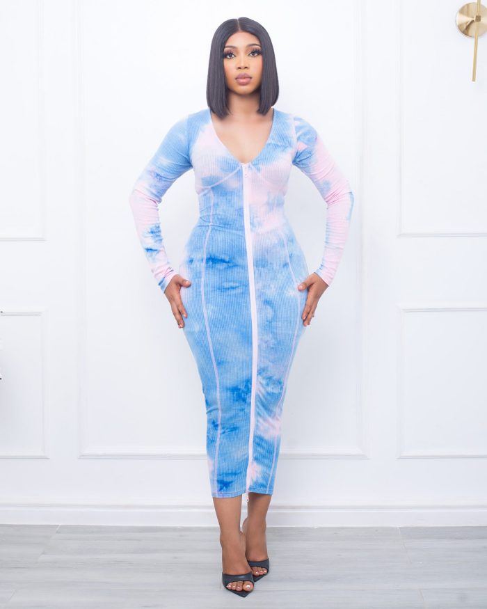 Blue and Pink Bodycon Deep V-Neck Long Sleeve Dress