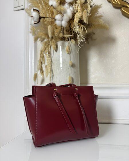 WINE ZARA BAG