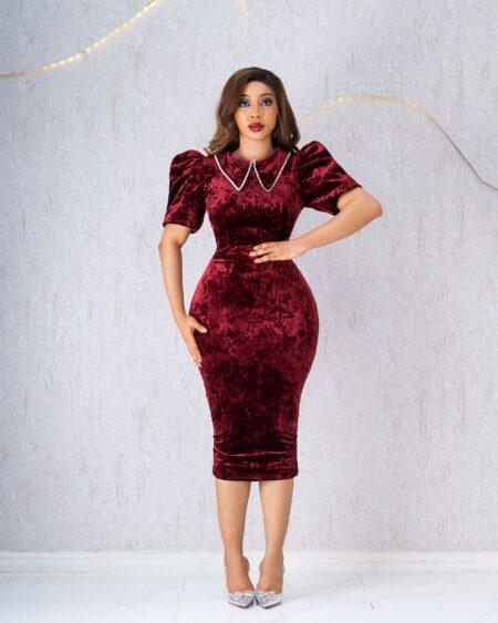 WINE VELVET COLLAR DRESS