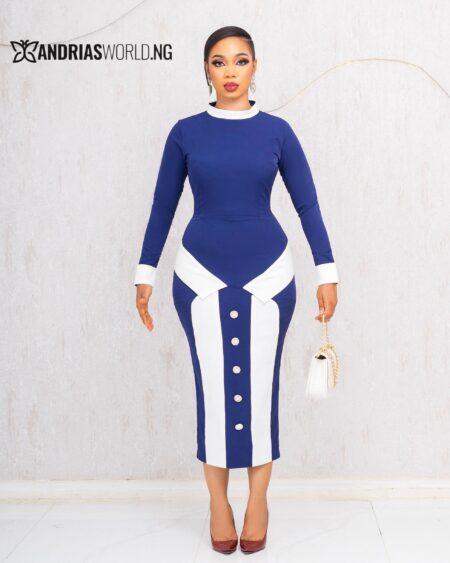 NAVYBLUE AND WHITE BUTTON MIDI DRESS