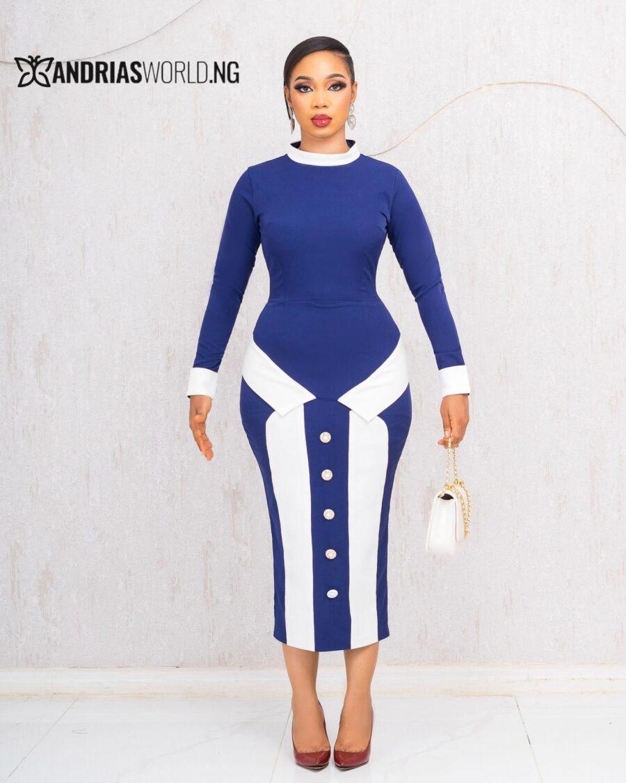NAVYBLUE AND WHITE BUTTON MIDI DRESS