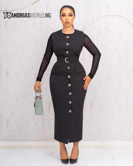 BLACK BUTTON DOWN MIDI DRESS WITH MESH SLEEVES