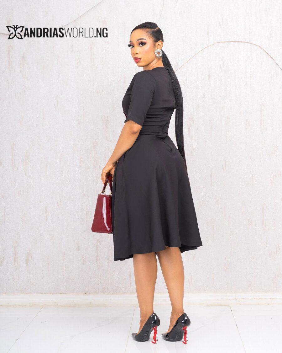 BLACK AND WINE SKATER DRESS
