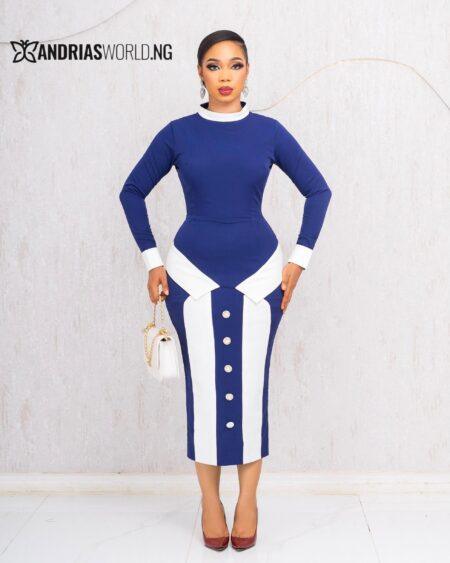NAVYBLUE AND WHITE BUTTON MIDI DRESS