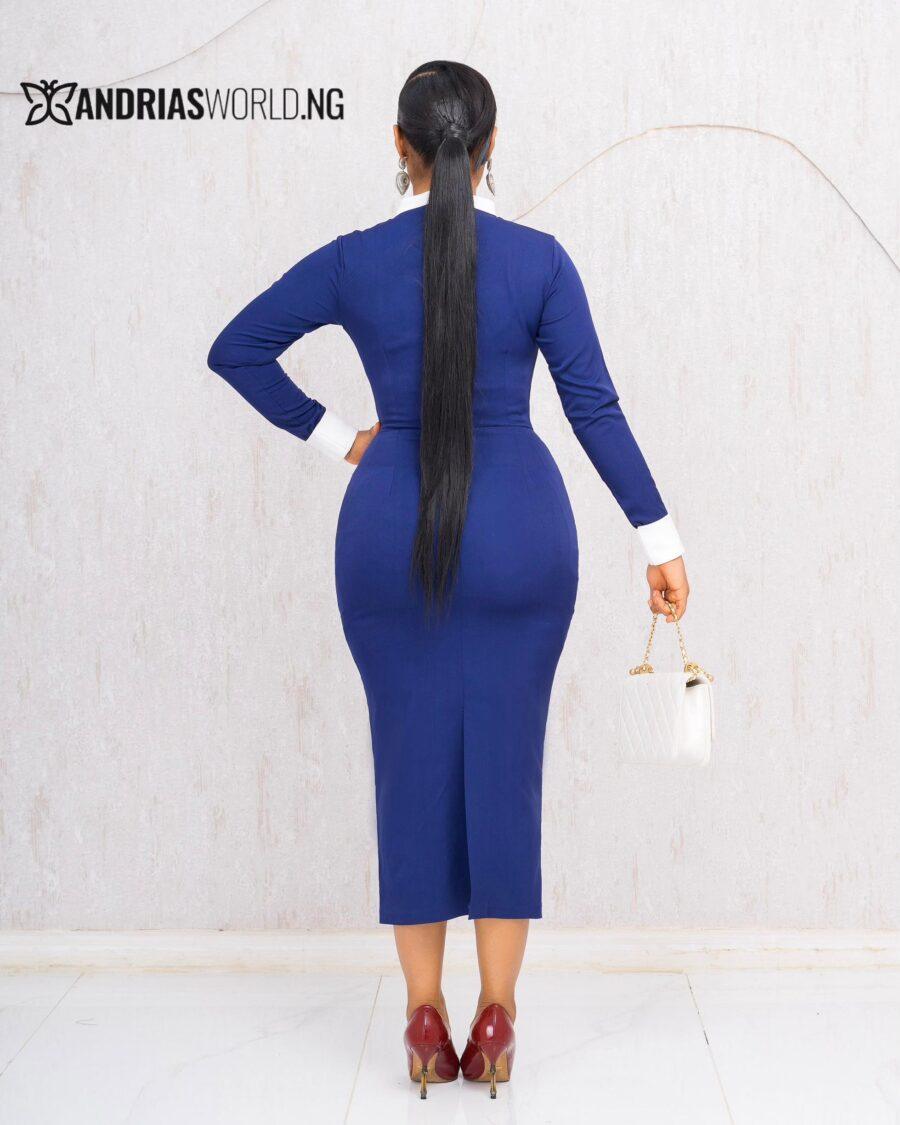 NAVYBLUE AND WHITE BUTTON MIDI DRESS