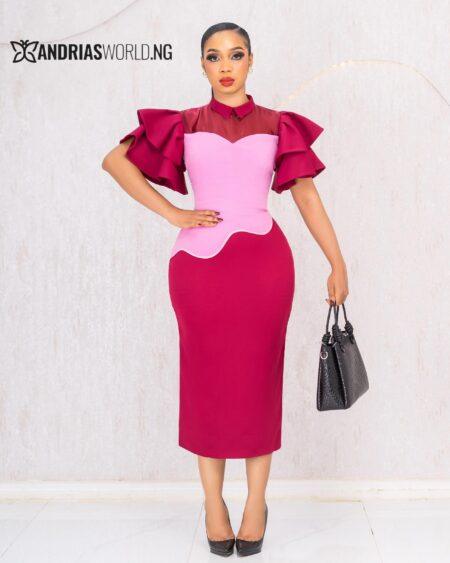 WINE AND PINK RUFFLE SLEEVES DRESS