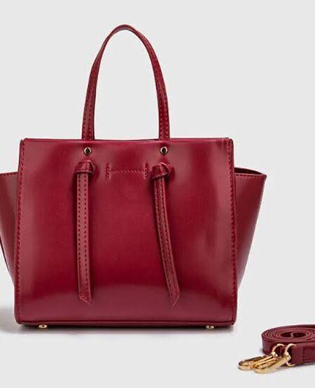 WINE ZARA BAG