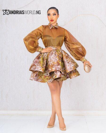 BROWN DAMASK SKIRT WITH ORGANDY TOP