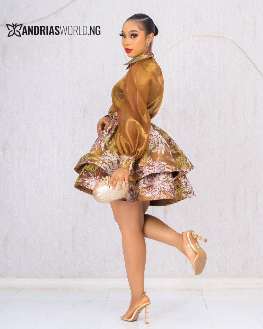 BROWN DAMASK SKIRT WITH ORGANDY TOP