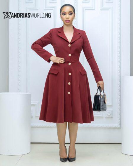 Wine Button Down Dress