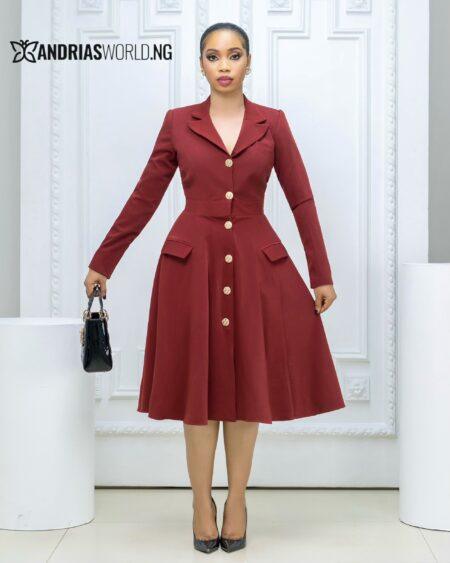 Wine Button Down Dress