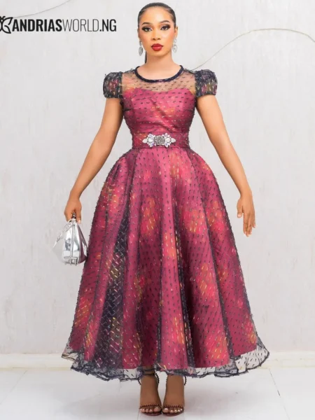 Multicolor Organza skater dress