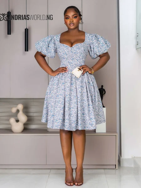 Blue and white skater dress